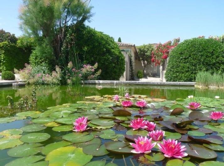 فيلا Le Mazet 40 Saint-Rémy-de-Provence المظهر الخارجي الصورة