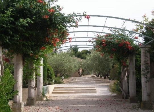 فيلا Le Mazet 40 Saint-Rémy-de-Provence المظهر الخارجي الصورة