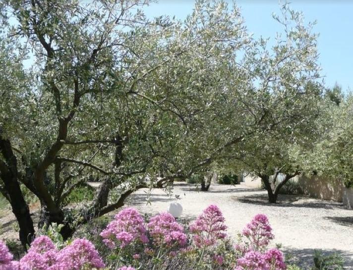 فيلا Le Mazet 40 Saint-Rémy-de-Provence المظهر الخارجي الصورة