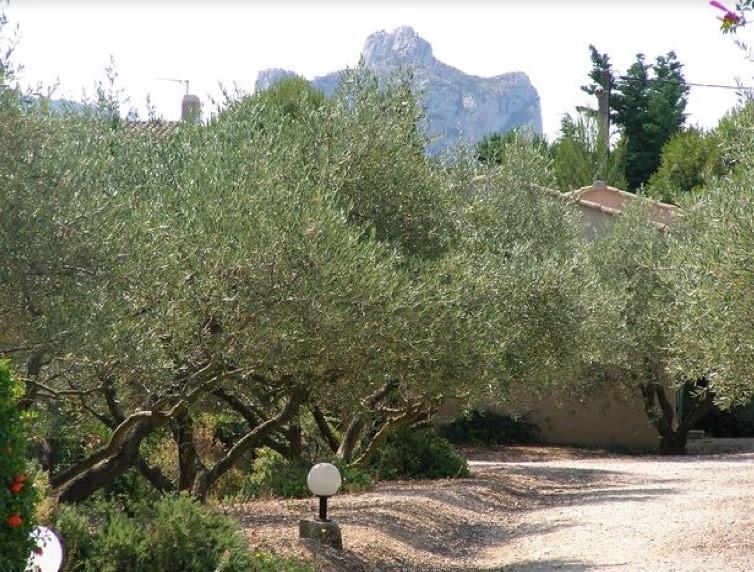 فيلا Le Mazet 40 Saint-Rémy-de-Provence المظهر الخارجي الصورة